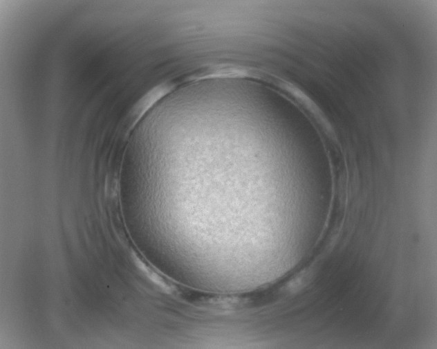 X0000081591193200701291311
