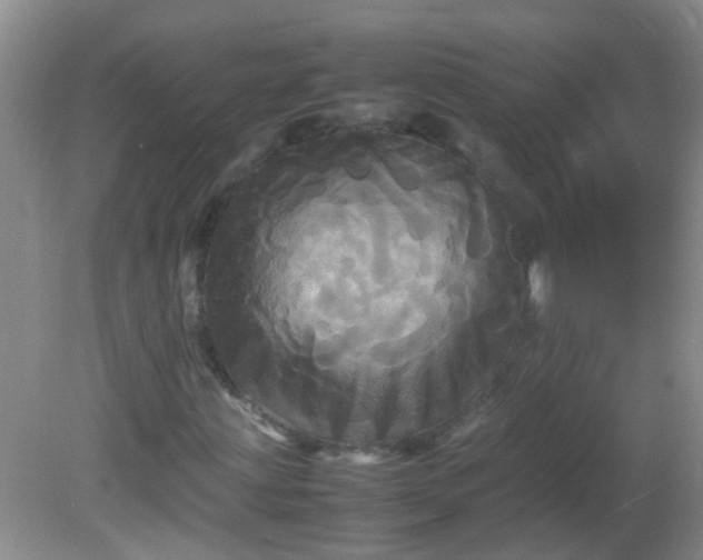 X0000081591203200701291310