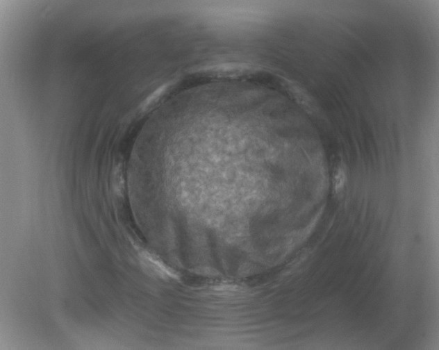 X0000081591204200701291310