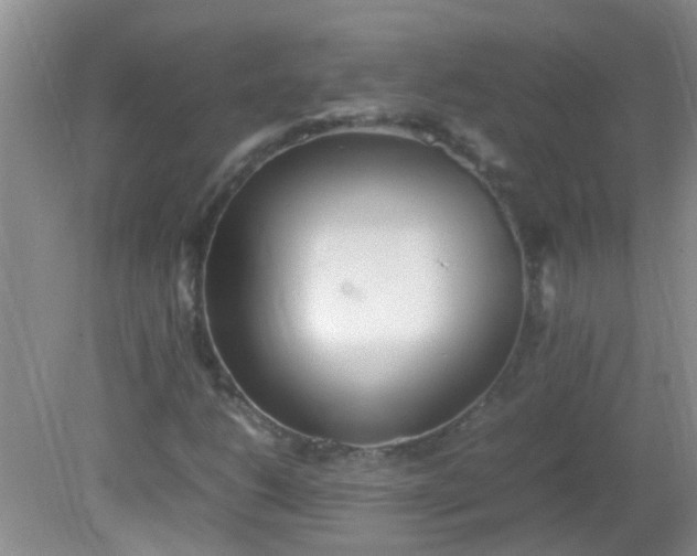 X0000081591206200701291310