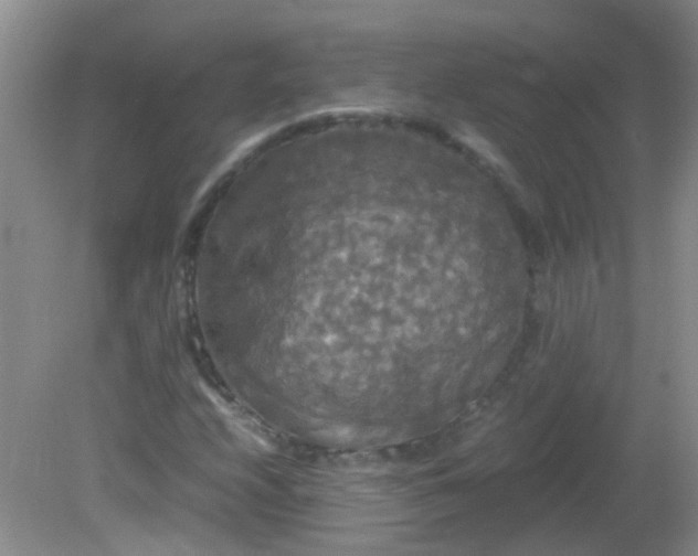 X0000081591208200701291310
