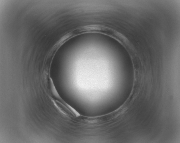 X0000081591225200701291311