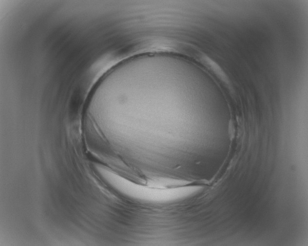X0000081591226200701291311