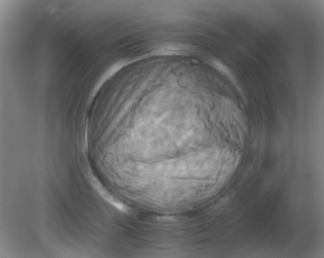 X0000081591227200701291311