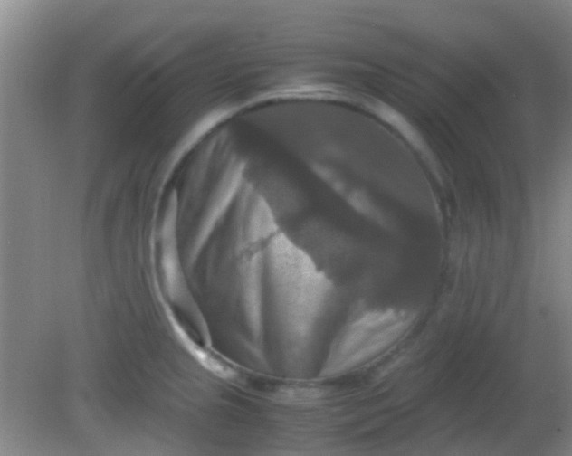 X0000081591237200701291311