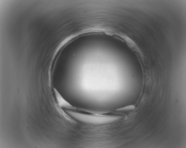 X0000081591238200701291311