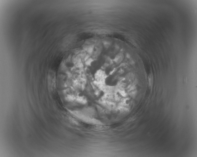 X0000081591251200701291310