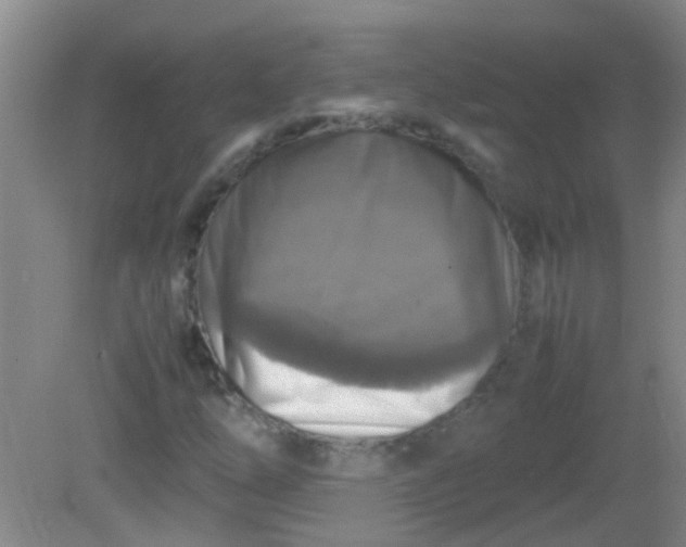 X0000081591254200701291310