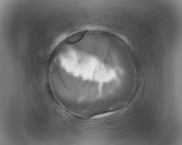 X0000081591263200701291310