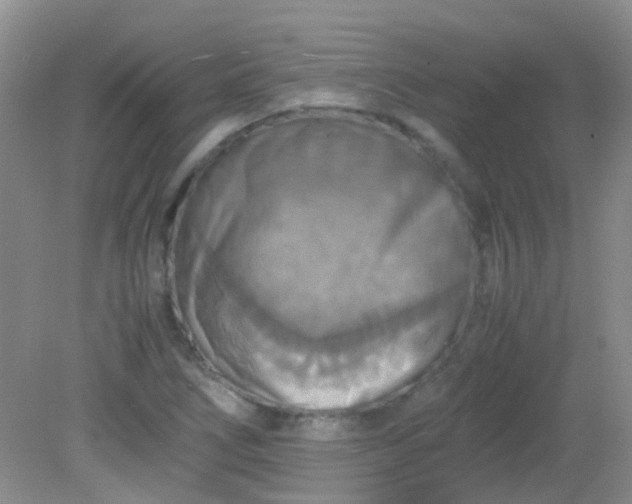 X0000081591266200701291310