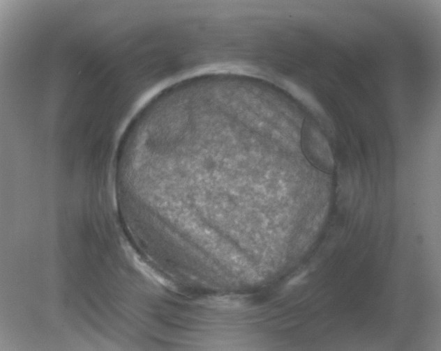 X0000081591272200701291310
