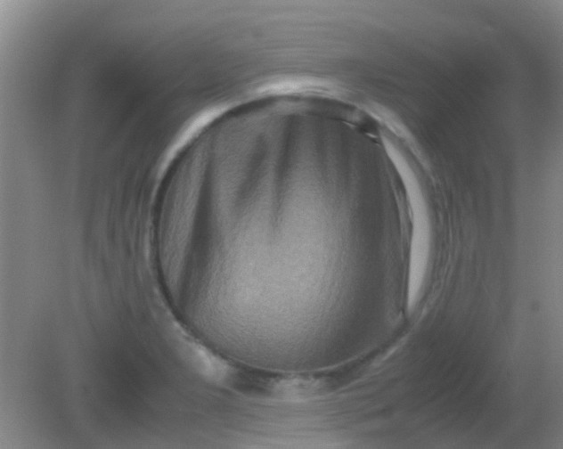 X0000081591277200701291310