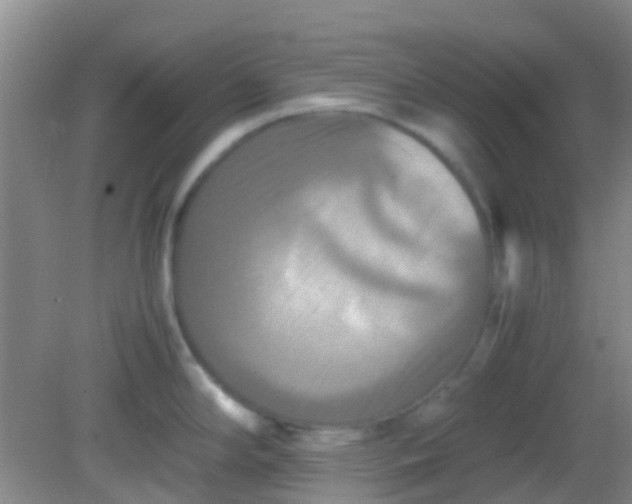 X0000081591294200701291309