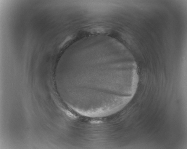 X0000081591297200701291309