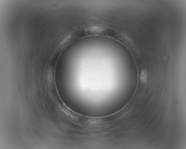 X0000081591299200701291309