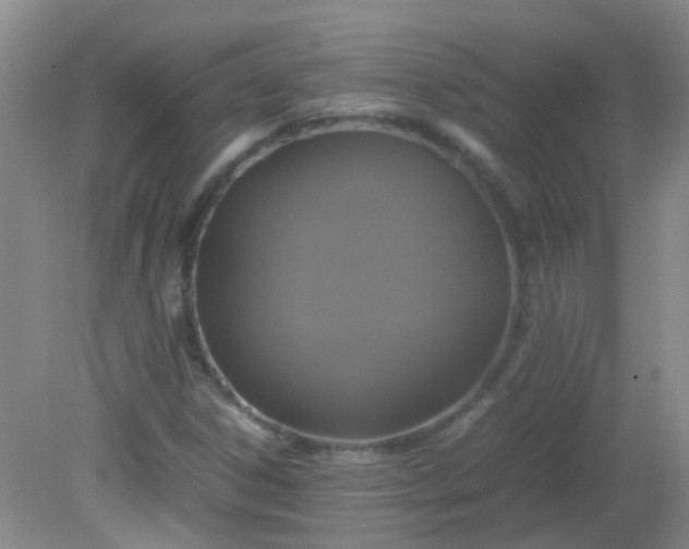 X0000081591306200701291309