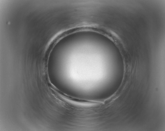 X0000081591310200701291309