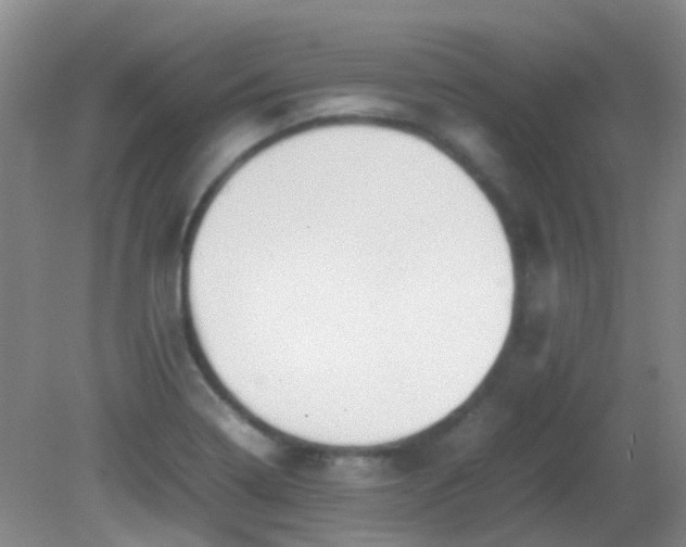 X0000081591322200701291309