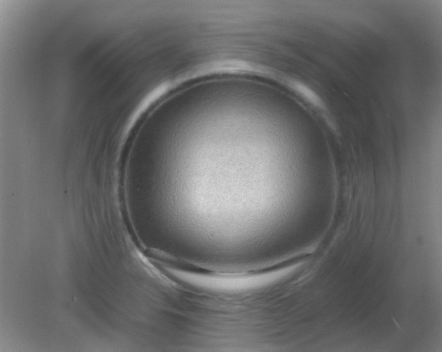 X0000081591326200701291309