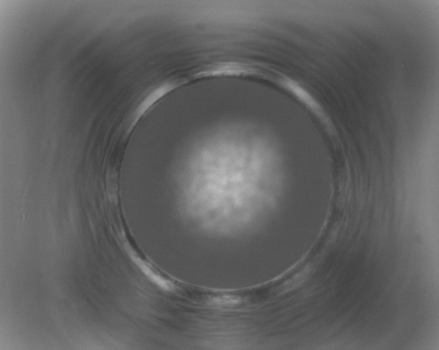 X0000081591329200701291309