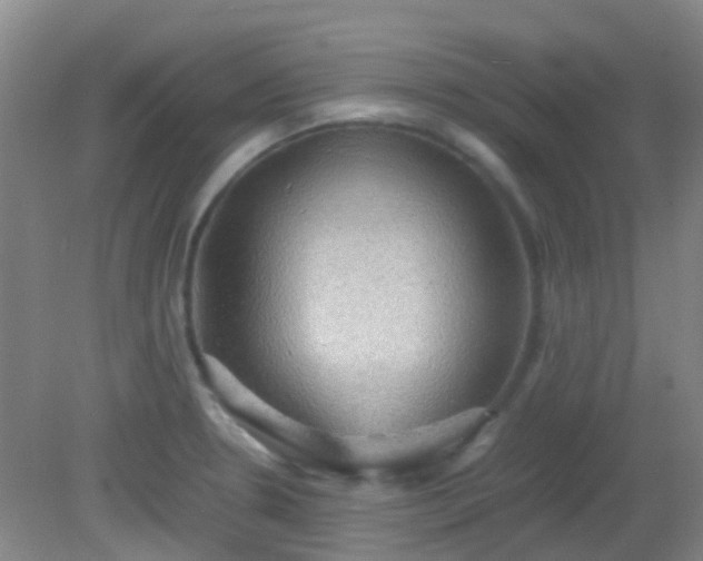 X0000081591330200701291309