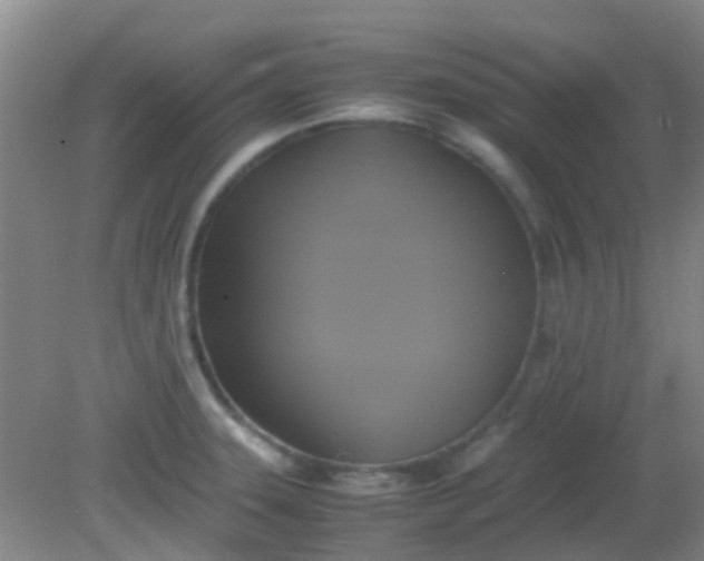 X0000081591331200701291309