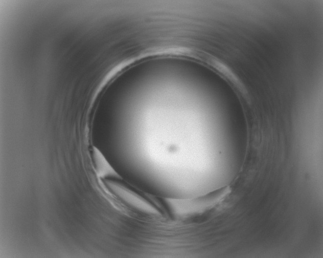 X0000081591332200701291309