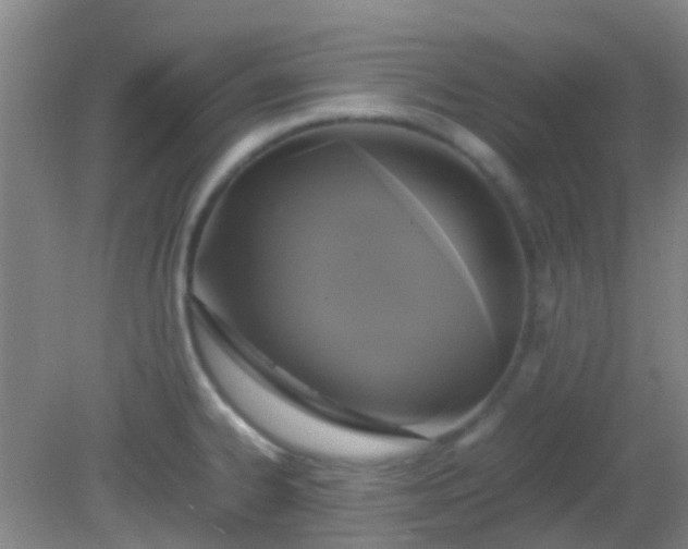X0000081591334200701291309