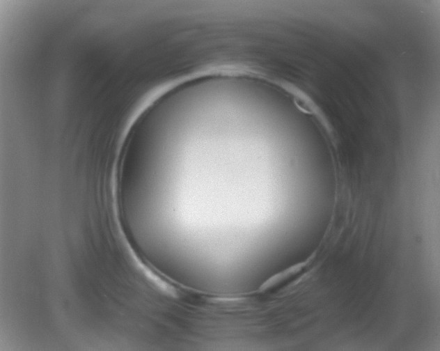 X0000081591343200701291309