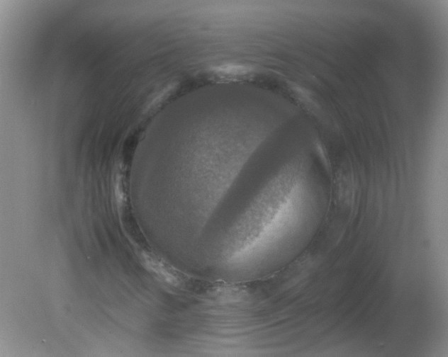 X0000081591346200701291309