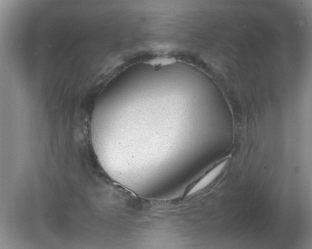 X0000081591349200701291308