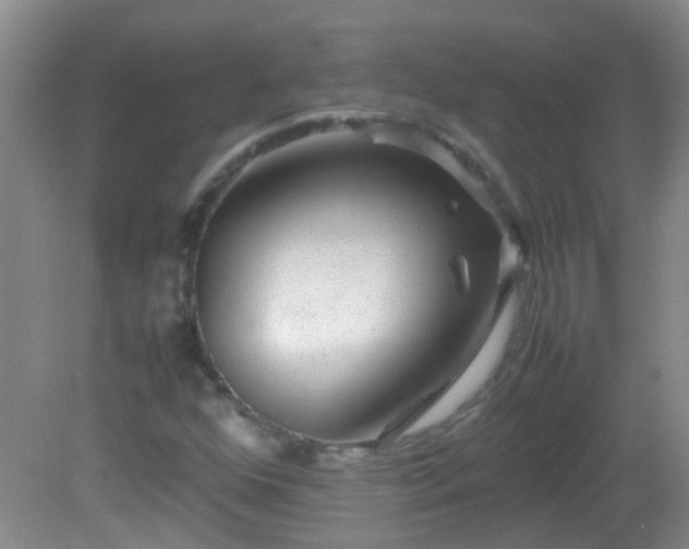 X0000081591352200701291308