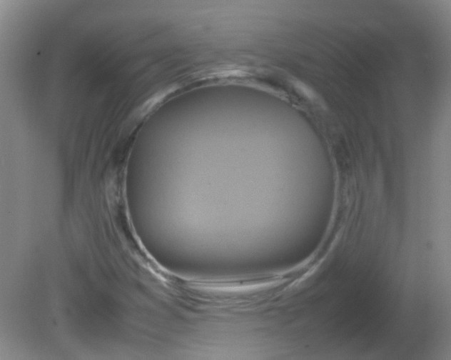 X0000081591353200701291308
