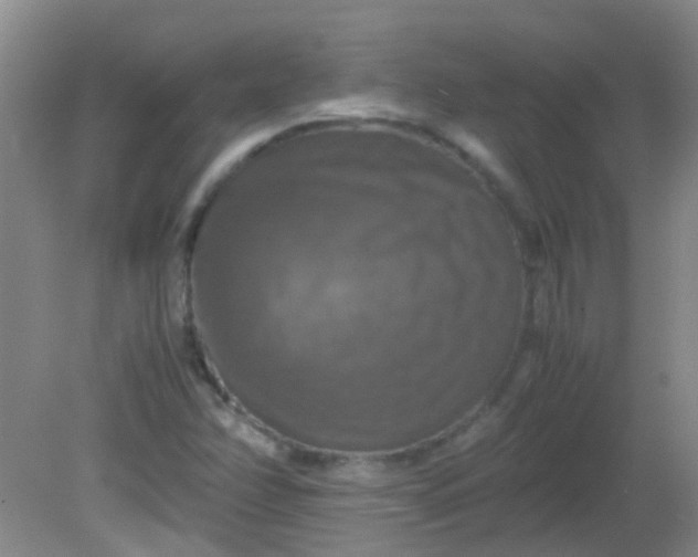 X0000081591358200701291308