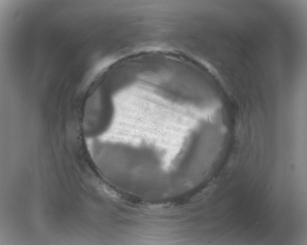 X0000081591359200701291308