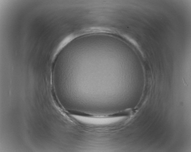 X0000081591365200701291308