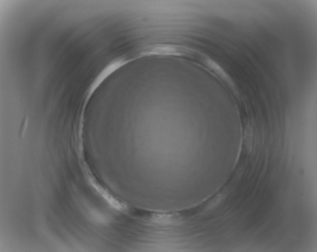 X0000081591378200701291308
