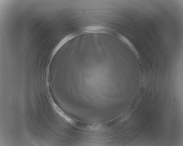 X0000081591386200701291308