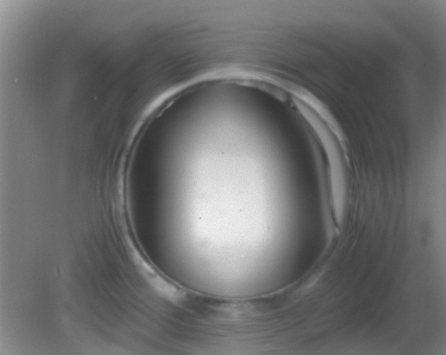 X0000081591388200701291308