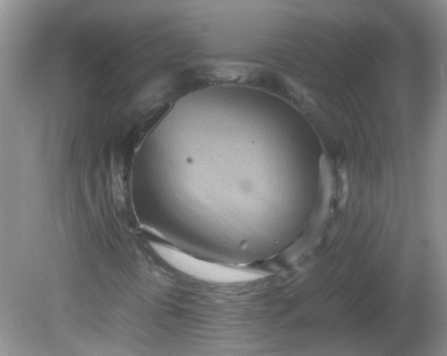 X0000081591394200701291307