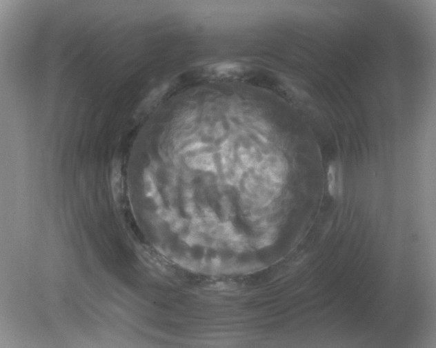X0000081591395200701291307