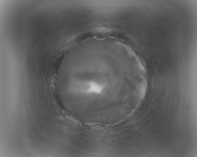 X0000081591397200701291307