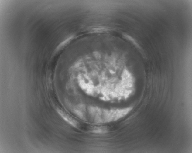 X0000081591403200701291307