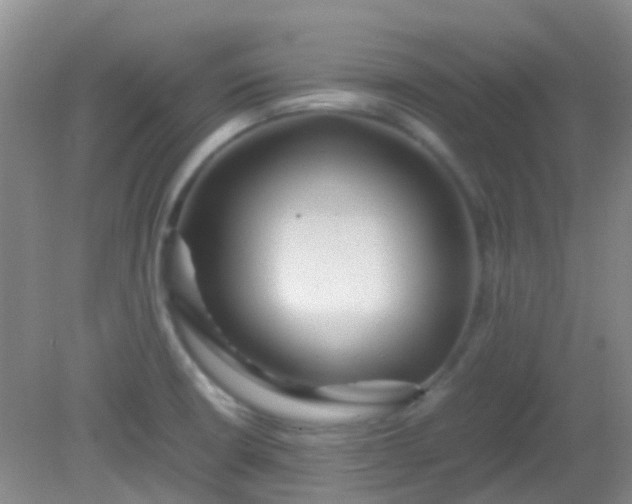 X0000081591426200701291307