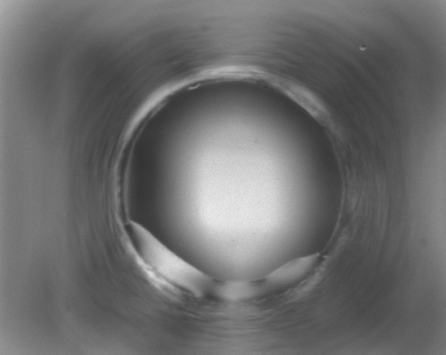 X0000081591430200701291308