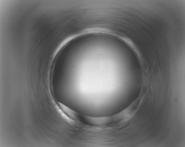 X0000081591438200701291308