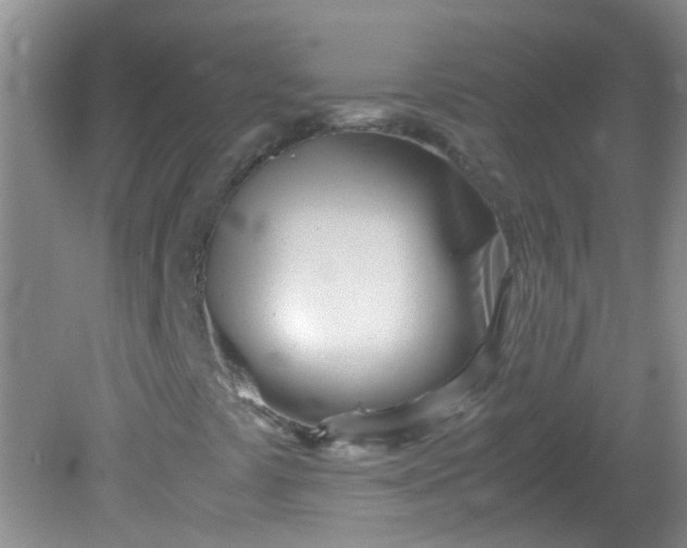 X0000081591441200701291307