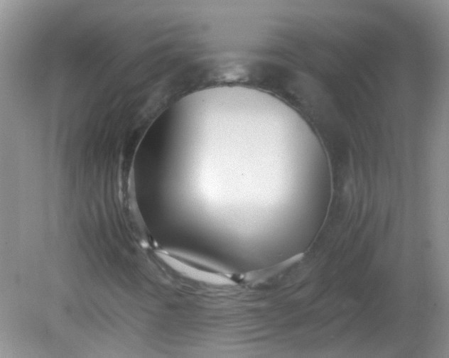 X0000081591442200701291307
