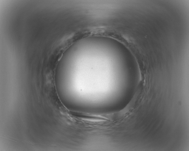 X0000081591445200701291307