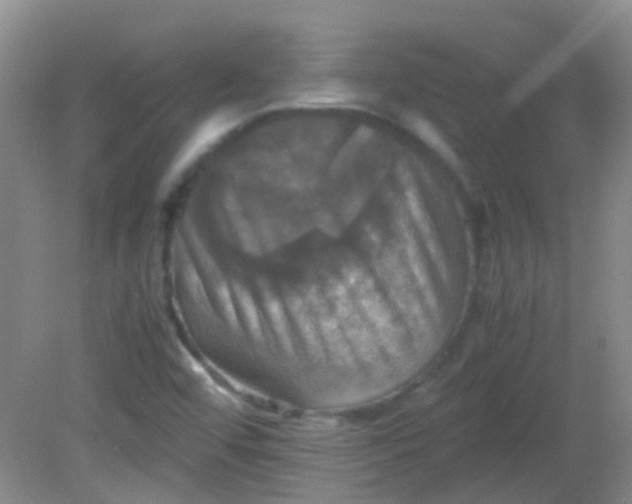 X0000081591456200701291307